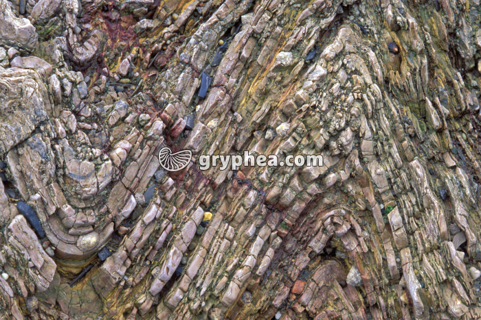 Microplis roches métamorphisées - gryphea.com